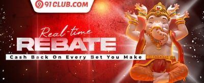 Diwali Mega Bonanza promotion banner